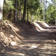 realizzazione strade forestali (14)